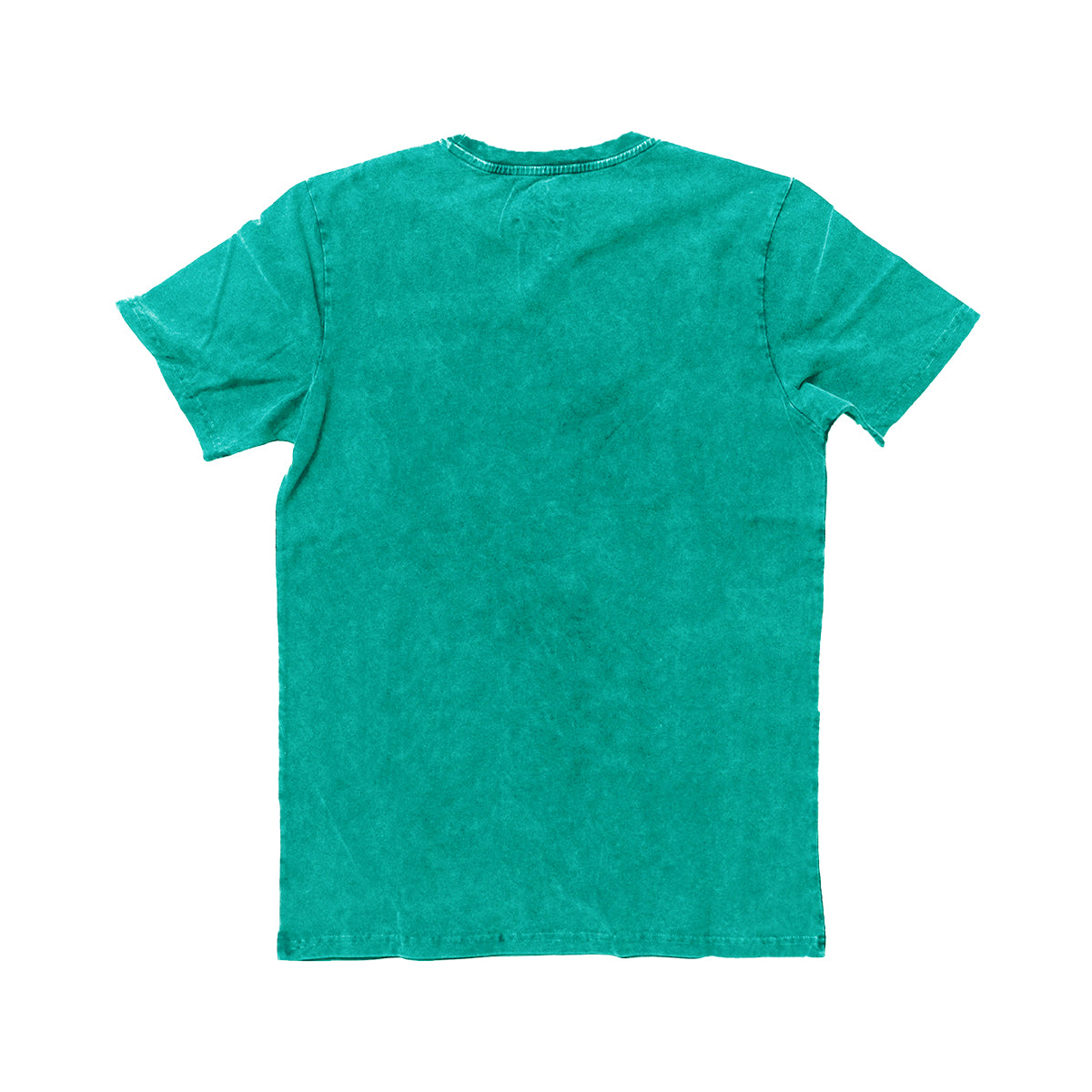 Back view of a plain teal mineral wash t-shirt.